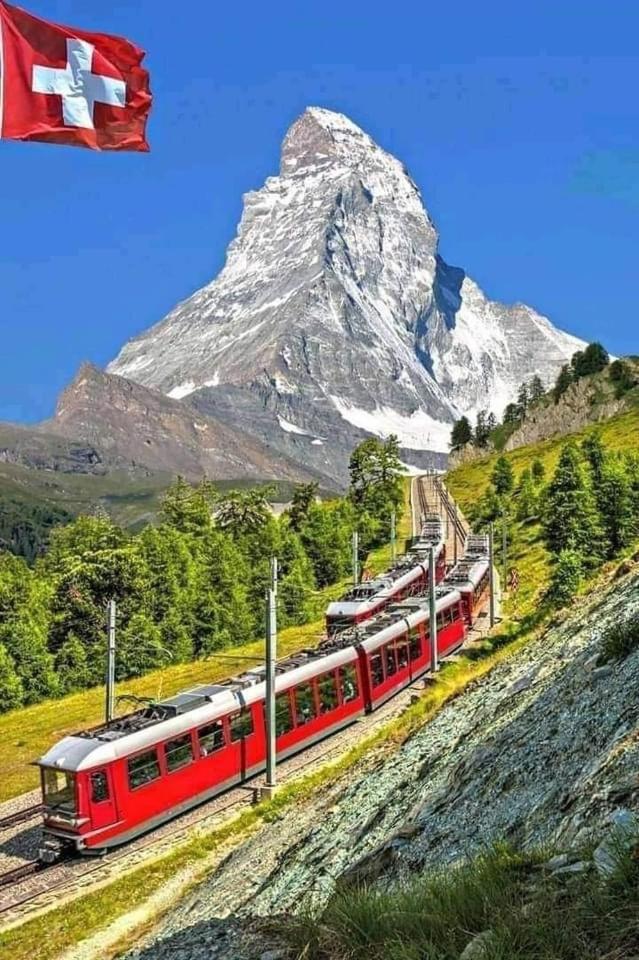 Lion Bb Swiss Leilighet Zürich Eksteriør bilde